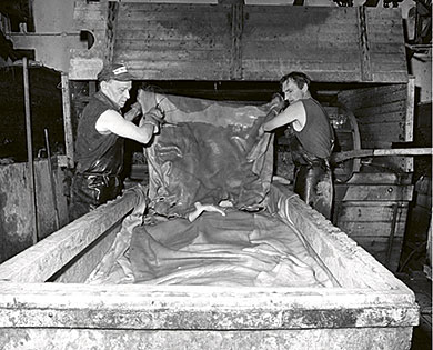 Arbete på läderfabriken i Klippan – tömning av valkar med kohudar som garvats. En värdefull dokumentation av slitsamt fabriksarbete på 1970-talet, ett arbete som i dag inte finns kvar. Från boken Med Klippan i fokus. Foto: Bo Widberg